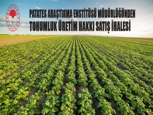 Patates Araştırma Enstitüsü Müdürlüğünden tohumluk üretim hakkı satış ihales