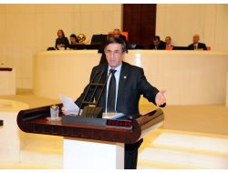 Bursa Termik Santrali Tbmm Gündeminde