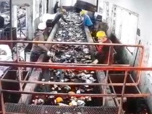 Ordu’da Bebek Cesedinin Çöpte Bulunma Anı Kamerada