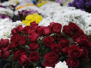Çiçekçilerde ‘14 Şubat Sevgililer Günü’ Heyecanı Yaşanıyor