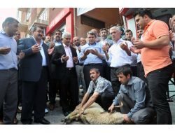 Gümüşhane’de Başbakan Erdoğan İçin Kurban Kesildi
