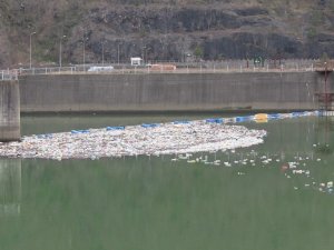 Muratlı ve Borçka Baraj Göllerindeki Çöpler Kötü Görüntü Oluşturuyor