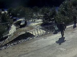 Bolu’da Donmuş Göle Düşen Köpeği Kurtarmak İçin Seferber Oldular