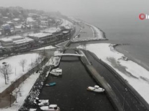 Soğuk Ve Karlı Hava Martıları Da Etkiledi
