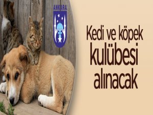 Ankara Büyükşehir Belediyesi kedi ve köpek kulübesi alacak