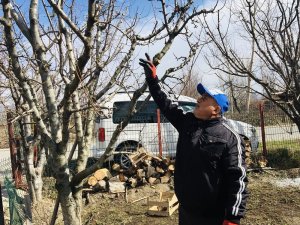 Kış Ortasında Çiçek Açtı, Çiftçiler Tedirgin