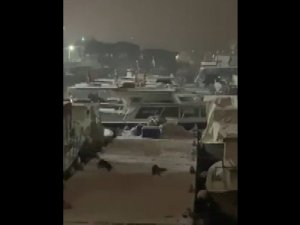 Balıkçı Barınaklarını Mesken Tutan Su Samurlarının Kar Keyfi