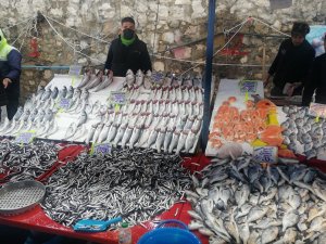 Balık Fiyatlarını Soğuk Vurdu