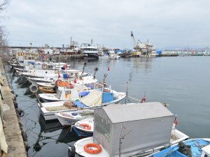 Marmara’da Balıkçıların Korkulu Rüyası 10 Yıl Sonra Geri Döndü