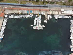 Deniz, Balık Yerine Salya İle Taştı
