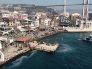 Denizanaları Boğaz’ı İstila Etti
