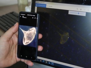 Yıldızları Görüntülemek İsterken Ufo Çektiğini İddia Etti