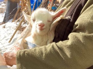 İşte Mutluluğun Fotoğrafı