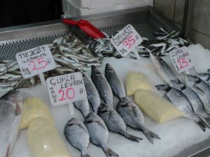 Balıkta Zam Şampiyonu Çinekop Oldu