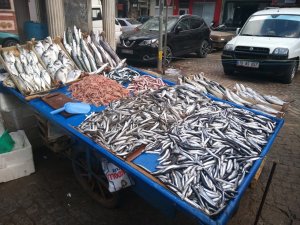 Balık Fiyatları El Yakıyor