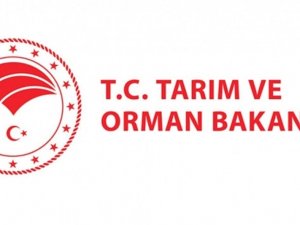 Tarım Ve Orman Bakanlığı, 2020 Yılında 1 Milyon 356 Bin 643 Gıda Denetimi Yaptı