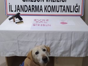 Giresun’da 220 Adet Uyuşturucu Hap Ele Geçirildi