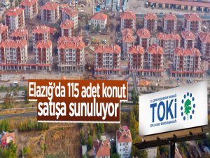 Elazığ'da 115 adet konut satışa sunuluyor