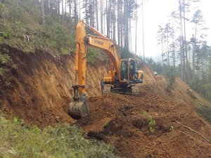 Rize'de Orman yolu yaptırılacaktır