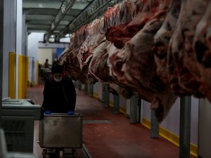 400 Kadın Kasap Her Gün 150 Ton Et İşliyor
