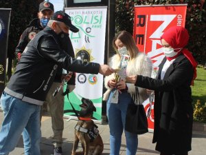 Giresun’da Dünya Kadınlar Günü Dolayısıyla Kadınlara Karanfil Dağıtıldı