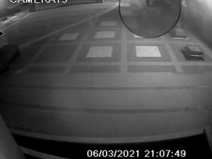 Emriye Vahşete Böyle Yürüdü