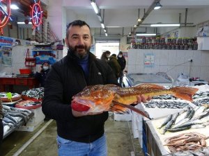 Uzun Süredir Tezgahlarda Görülmüyordu, Balık Av Sezonunun Sonları Doğru Ortaya Çıktı