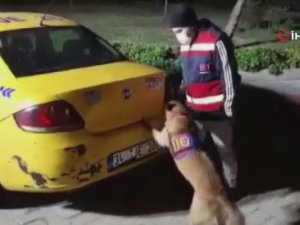 Bakan Soylu 60 Kilo Uyuşturucuyu Bulan Atak’ın Görüntülerini Paylaştı