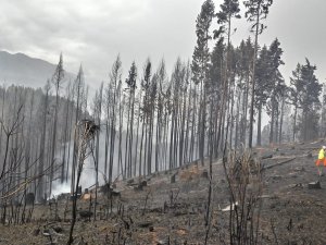 Arjantin’de Orman Yangınları Günlerdir Devam Ediyor