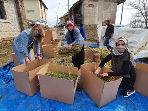 Kadınlar Üretti, Kadınlar İhraç Etti
