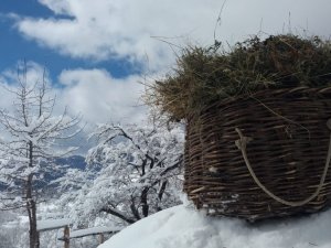 Artvin’de Büyüleyen Kış Manzaraları