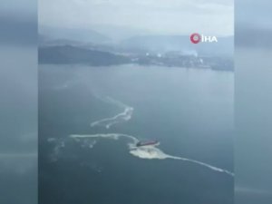 Gemlik Körfezi’nde Kirlilik Alarmı