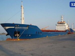Gemlik Körfezi’ndeki Kirliliğin Sebebi Belirlendi