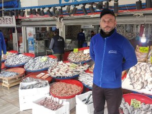 Balık Tezgâhlarında Balık Bolluğu