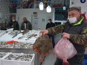 Kalkan Balığı Tadımlık Oldu, Fiyatı Cep Yakıyor