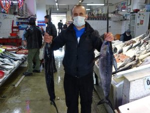 Karadeniz’de Yeterli Av Olmayınca Trabzon Balık Halinde İzmir Ve İstanbul’dan Gelen Balıklar Satışa Sunuldu