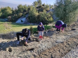 Çiftçi Sayısı Yüzde 9 Azaldı, Kamuda Çalışan Yüzde 1,3 Arttı