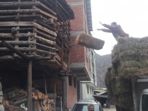 60 Hanenin Yandığı Köye Yardım Yapmak İsteyenler İçin Köy Muhtarı Duman Uyardı