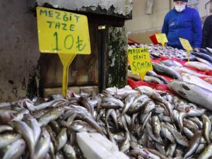 Hamsi Yerini Mezgide Bıraktı