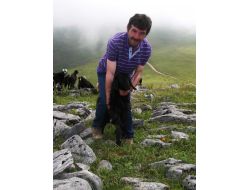 Trabzon Yaylalarında Çobanlık Cazibesini Yitirdi
