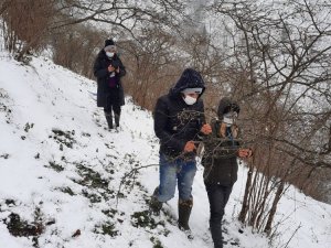 Fındıkta Zirai Don Tespiti İçin Çalışma Başlatıldı