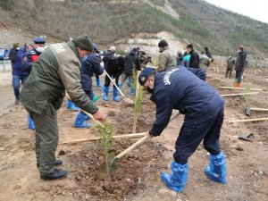 Artvin’de Fidanlar Toprakla Buluştu