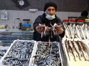 Av Sezonun Sonlarına Doğru Trabzon Açıklarında Kendini Gösterdi Ama Fiyatı El Yakıyor
