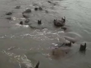 Hatay’da Deniz Suyu Önce Çekildi Sonra Yeniden Yükseldi