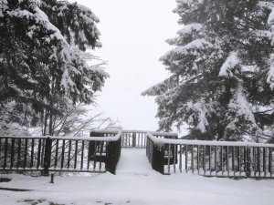 Artvin’in Ünlü Kafkasör Yaylası Yağan Karla Beyaza Büründü
