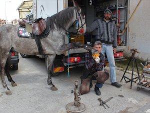 At Sevgisi 35 Yaşında Nalbant Yaptı