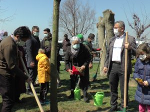 Üsküdar’da Kız Kulesinde Katledilen Ağaçların Yerine Yenileri Dikildi