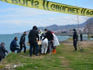 Giresun’da Bulunan Kadın Cesedinin Kimliğini Dna Testi Belirleyecek