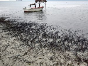 Çanakkale’de Deniz 30 Metre Çekildi