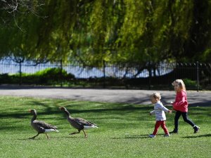 Londra’da Halk Park Ve Bahçelere Akın Etti